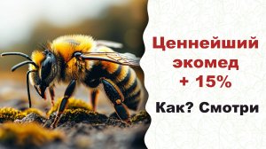 Внимание, пчеловоды! Пробиотики нужны вашим пчёлам. Смотрите видео!