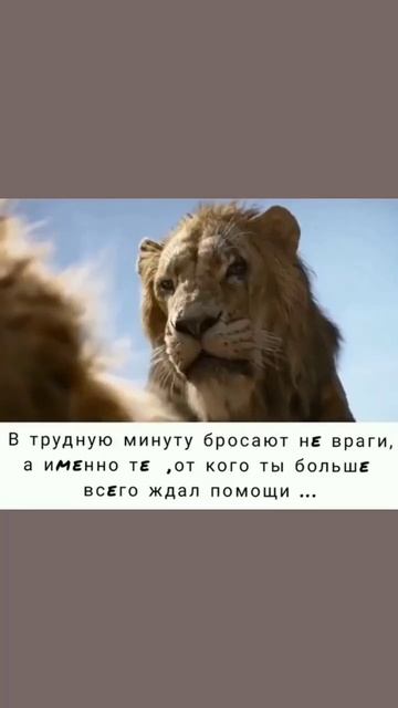 12 апреля 2023 г.