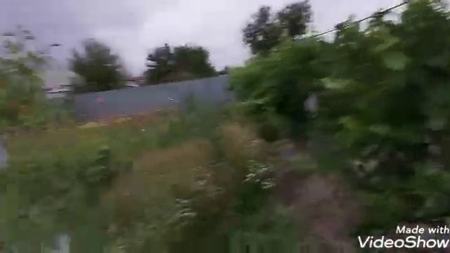 ОБЗОР.САД.ОГОРОД НА 27 ИЮЛЯ 2020 Г. смотреть онлайн