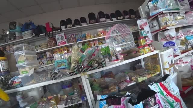 ВЛОГ_ПОЕХАЛИ НА МИХАЙЛОВСКИЙ РЫНОК _КОШКЕ ПЛОХО_СПАСИБО ХОТЬ ЗЕМЛЮ ПРОДАЛИ_РЫБНЫЙ МАГАЗИН ОБЗОР ЦЕН