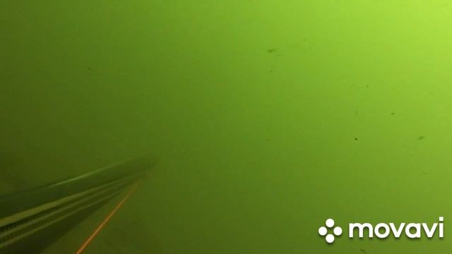 Marmara Trofe Levrek