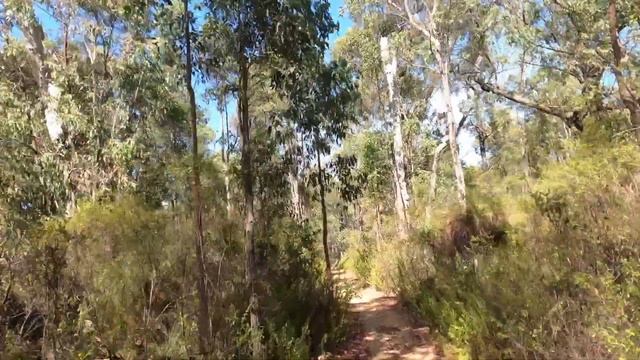 Bikepacking The Munda Biddi Trail Day 4