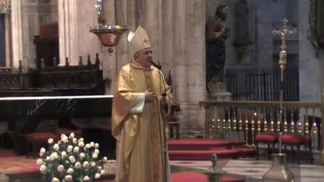 Homilia de don Carlos en la Catedral смотреть онлайн