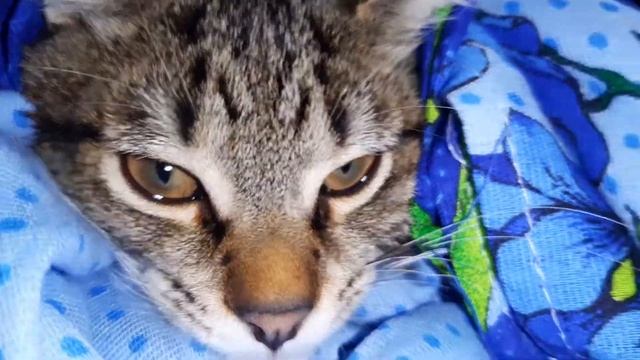 греемся после душа смотреть онлайн