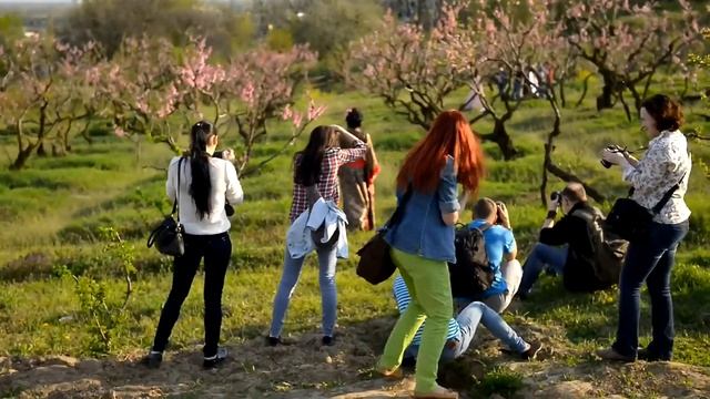 Spring bloom 2015 смотреть онлайн