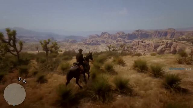 RDR2 checking shit out w my nephew смотреть онлайн