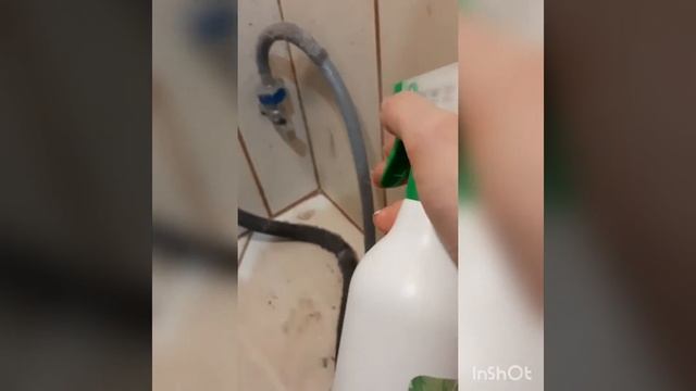 Десант чистоты! смотреть онлайн