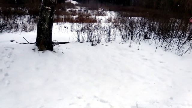 Ева в Шуваловском парке смотреть онлайн