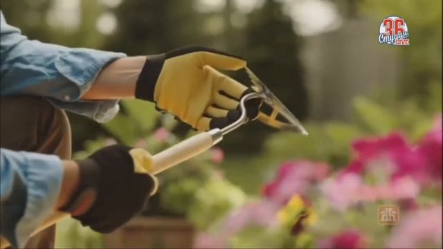 Тяпка за 20$ смотреть онлайн