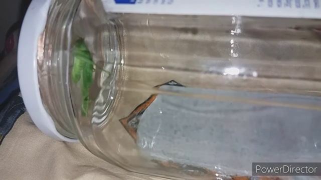 Максим художник 😘🖌️. Влог для личного пользования. 15.08.21 смотреть онлайн