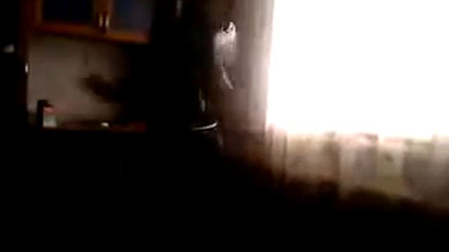 Поповка(gentlemen) смотреть онлайн