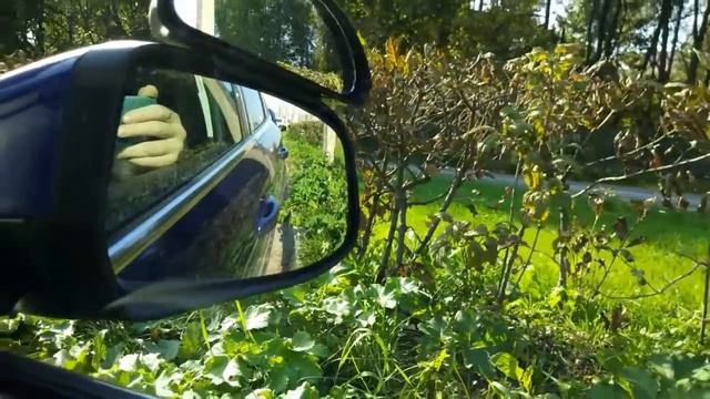 Мой хороший друг  