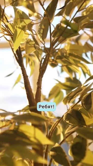 Как продать квартиру за 4 дня?! - Легко! |Хоумстейджинг | Упаковка квартиры #shorts смотреть онлайн