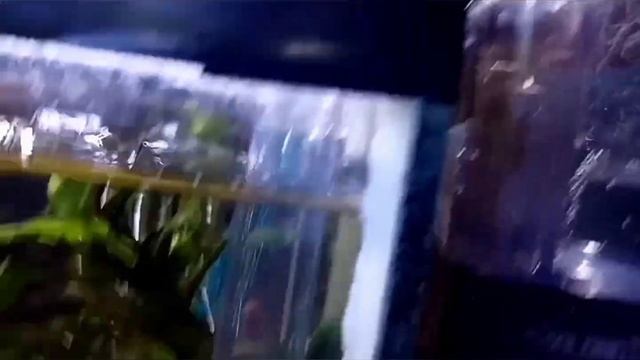 Обзор рюкзачного фильтра   Xilong Xl-850