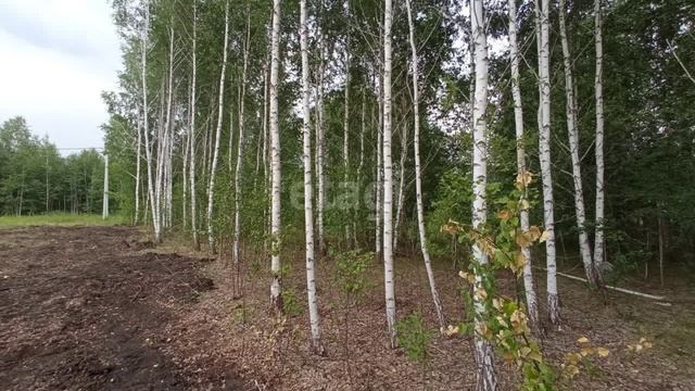 10752925 смотреть онлайн