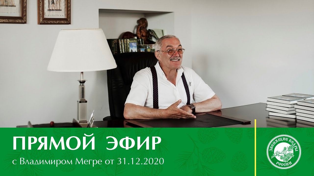 Прямой эфир с Владимиром Мегре от 31.12.2020/live broadcast with Vladimir Megre 31.12.2020 смотреть онлайн
