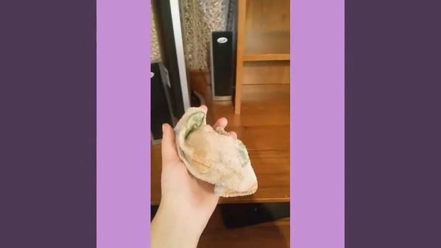 уборка /  что у меня на столе?/завтра первый влог?/