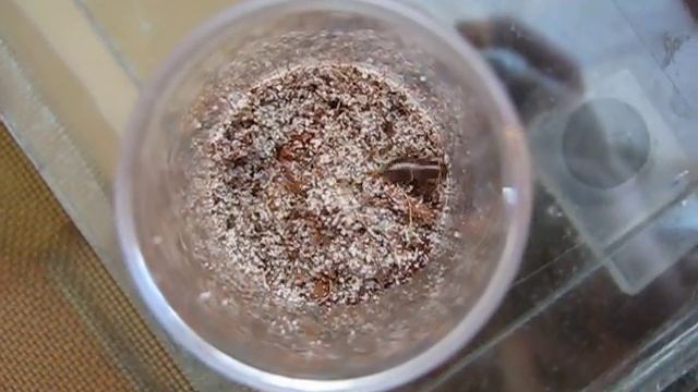 MVI_5272 смотреть онлайн