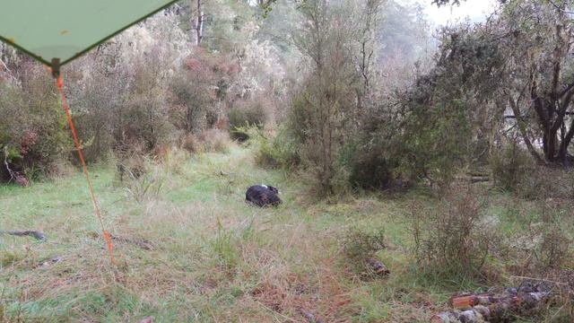 Camping in RAIN - 2 Nights смотреть онлайн