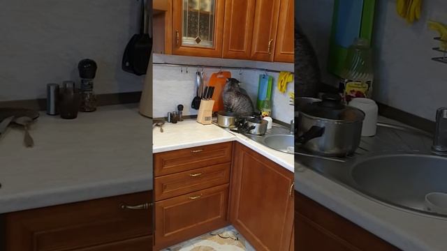 Покушение на свеклу