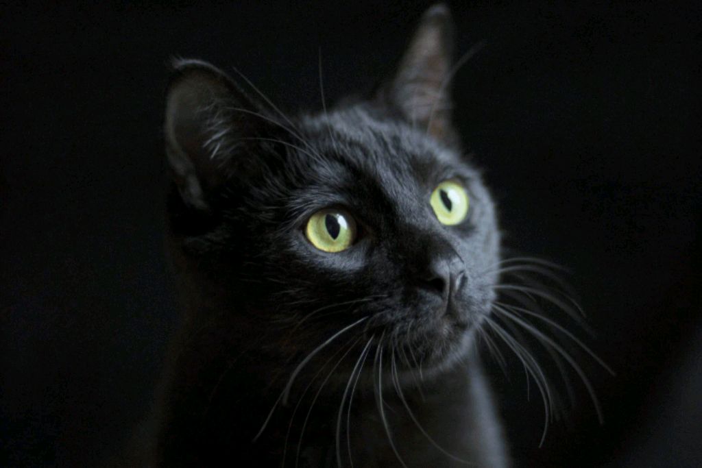 ходим 8 смотреть онлайн