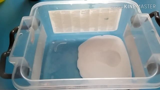 Делаю какао слайм из не робочего клея! смотреть онлайн