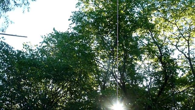 森の中で鳥を歌う - Поющие птицы в лесу - 在森林里唱歌的鸟 - जंगल में पक्षियों गायन - Singende Vögel im Wald смотреть онлайн