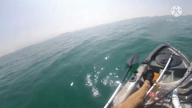 #1 My first kayak fishing in Lamer Jumeira king / trvalley / baracuda / queenfish смотреть онлайн