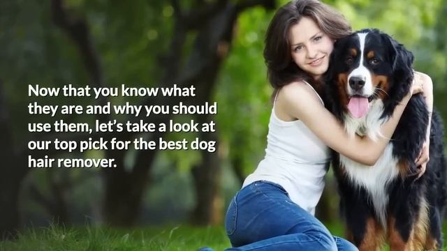 Best Pet Grooming Brush - Deshedding Tool For Dogs смотреть онлайн