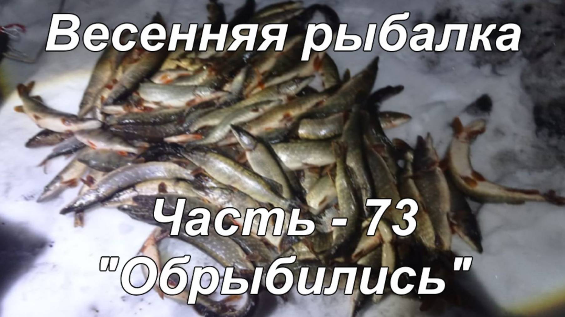 Весенняя рыбалка. Часть - 73. "Обрыбились". смотреть онлайн