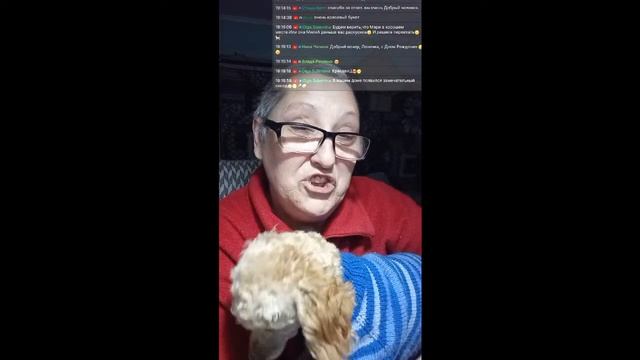 день рождения. подарки для моих любимых четвероногим смотреть онлайн