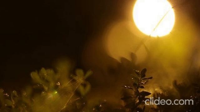 музыка космоса смотреть онлайн