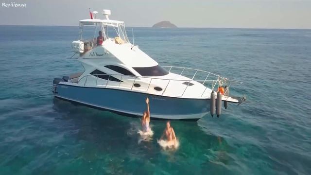 Pete Bellis & Tommy - Treat Me Right (Nikko Culture Remix) video on Rezilienza смотреть онлайн
