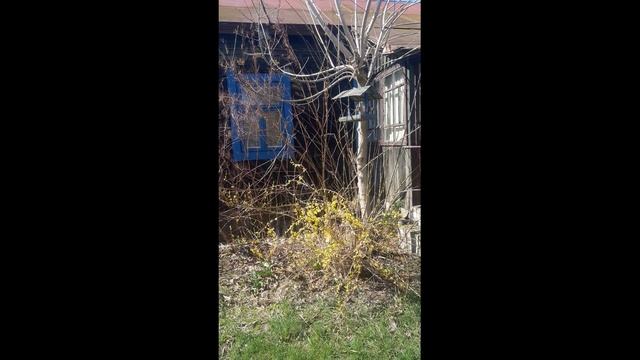 Огдемер Агдэмер Беларусь