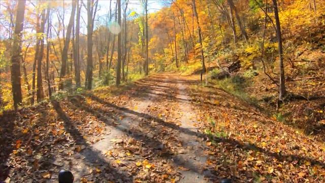 Fall Colors on the Gravel Bike. смотреть онлайн