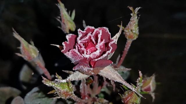 Встреча лета и зимы смотреть онлайн