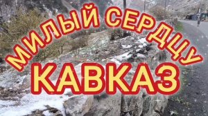 МИЛЫЙ СЕРДЦУ КАВКАЗ!