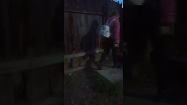 купили игрушку называется, сегодня еë уже не стало😅 смотреть онлайн