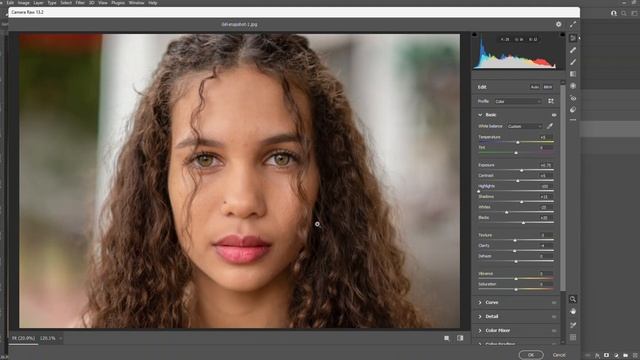 Camera Raw Filter (Lightroom Light) смотреть онлайн