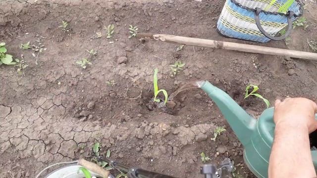 Необычные посадки.. смотреть онлайн