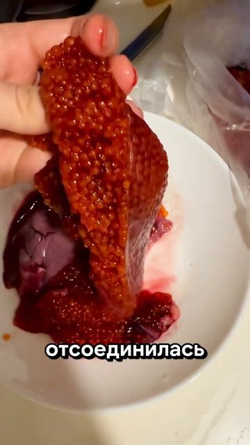 Здоровое питание