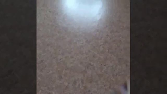 BOTTLE FLIP CHALENGE смотреть онлайн