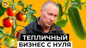 Огуречно-помидорные миллионы. Как зарабатывать на зелени и овощах? Тепличный бизнес