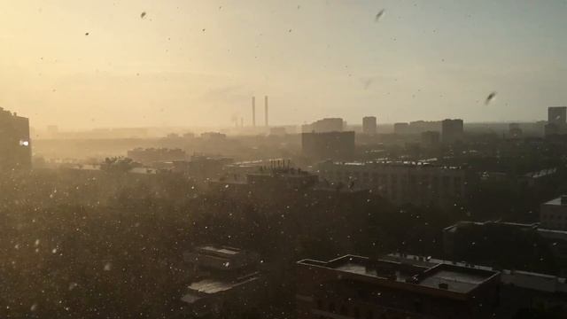 А в Москве льёт! смотреть онлайн