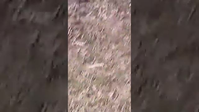 Танец под песни гипнозы и имя 505 смотреть онлайн