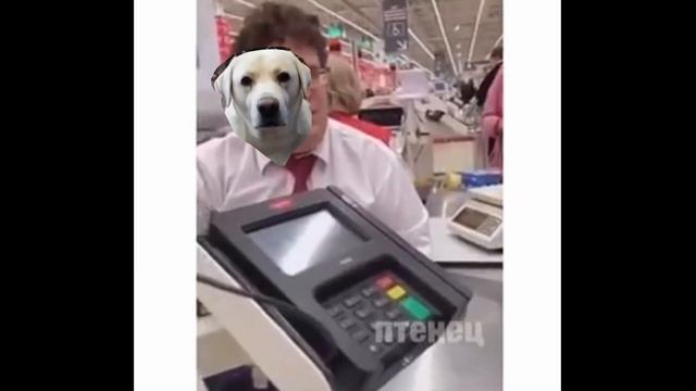 Лучший кассир – Собака