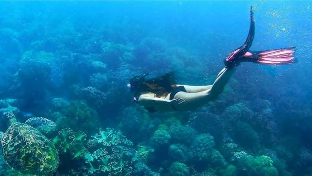 Best Scuba Fins In 2024 - Top 10 Scuba Fins Review смотреть онлайн