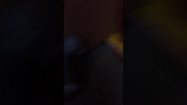 шлёпай и голубь и Бобёр Приключения вторая часть смотреть онлайн