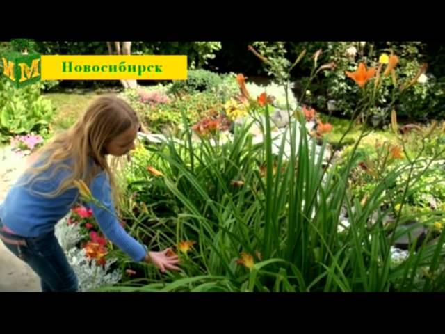 Детский пресс-центр ЗКР: Сибирский корр-т - знакомство