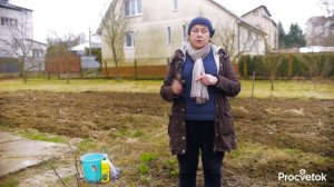 НЕ ВЗДУМАЙТЕ ВЫКОПАТЬ! Даже черные розы можно спасти, если полить их этим коктейлем